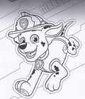 Bild 8 von 12