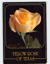Cartolina Rosa Gialla del Texas USA