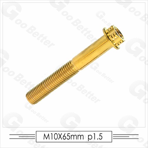 M10 Titan Flanschkopf T50 Torx Schraube Doppelantrieb Gold 1,25/1,5 mm Gewinde - Bild 17 von 30