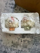 Enesco Home Grown Cauliflower Claus’ Sheep Christmas Mr & Mrs Claus WITH BOX