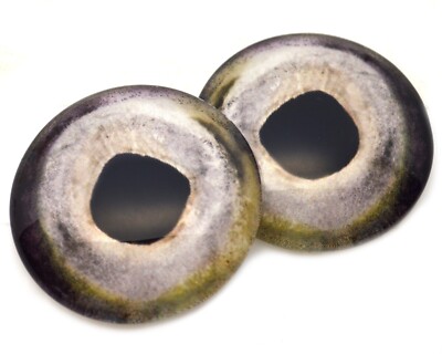 Pair Chinook Salmon Fish Glass Eyes Jewelry Doll Taxidermy Flatback Cabochons