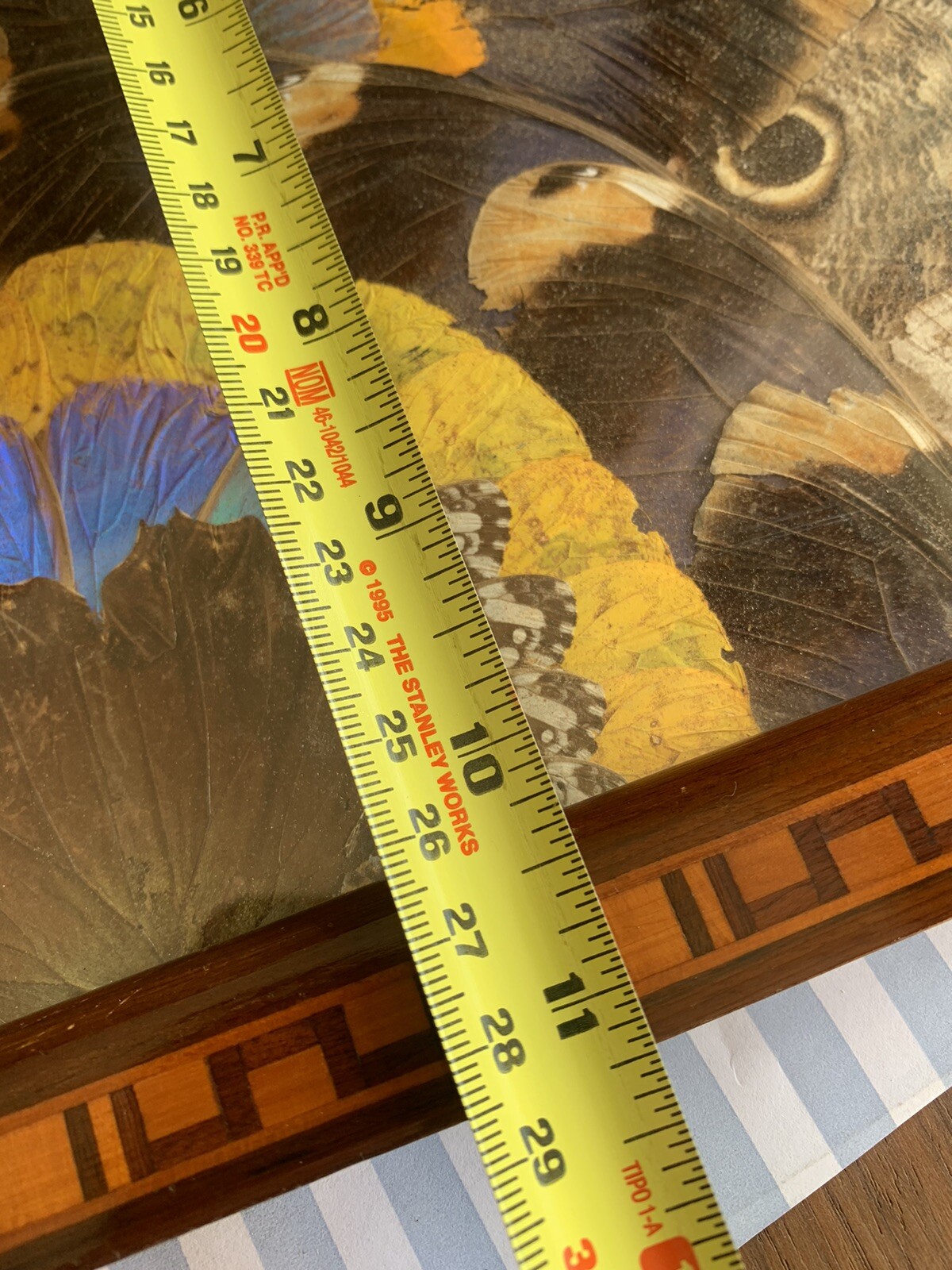 Picture 12 of 14