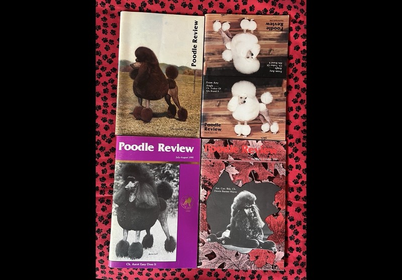 POODLE REVIEW Magazine #16  1990 (lot 4)
