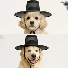 Saja Boys hat (gat). Kpop Demon Hunters hat. traditional Korean hat. Korean gat