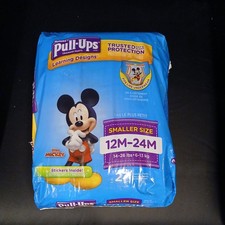 Huggies Pull-ups Learning Designs 27 Ct. Training Pants 12M-24M