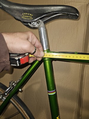 BICICLETTA BIANCHI CAMPIONI del Mondo 73-74 Vintage Verde Bianchi Corsa Eroica EUR 120,00