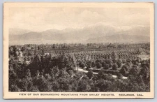 Antique California Postcard REDLANDS Smiley Heights Mountains 1907 1915