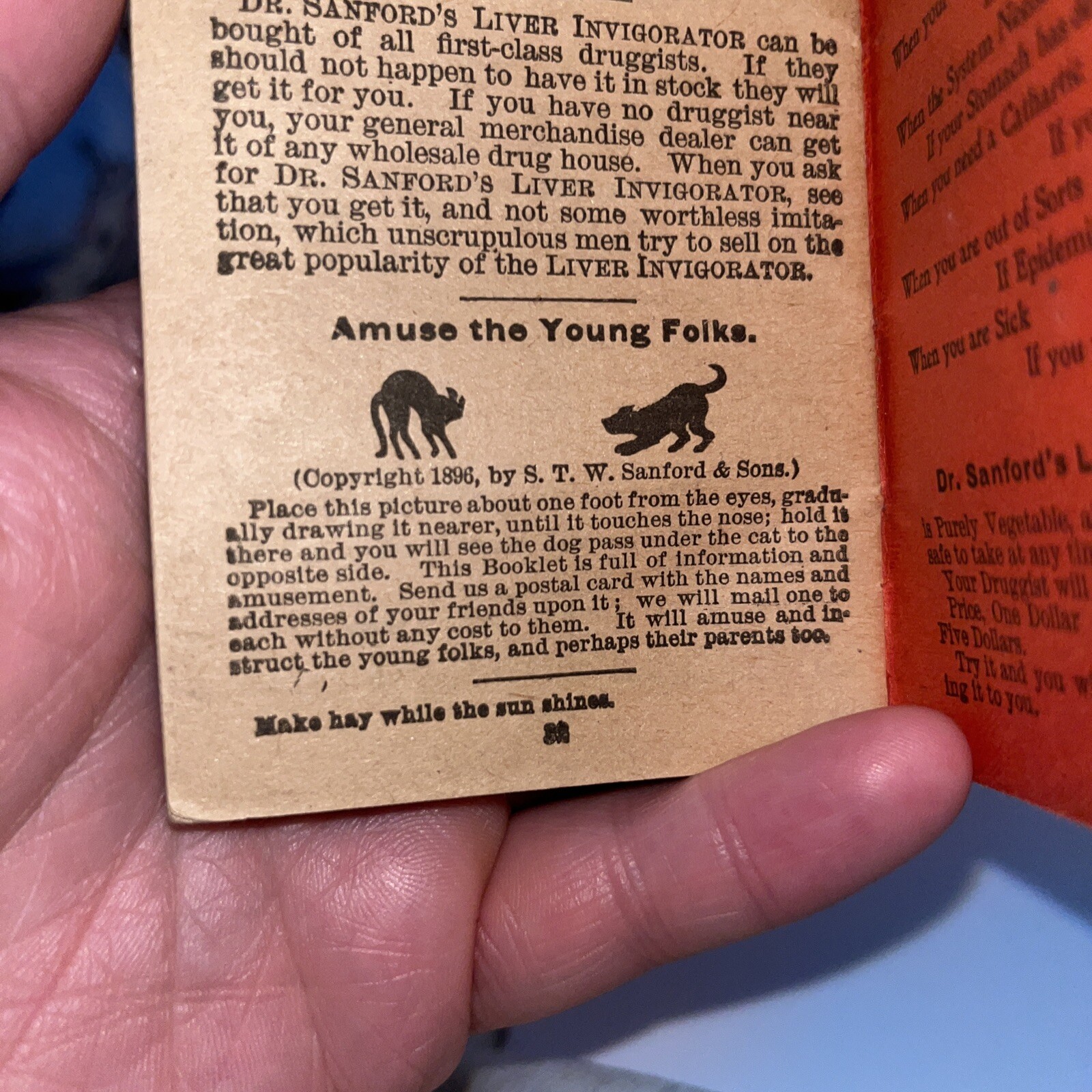 Antique 1896 STW Sanford & Sons Liver  Invigorator Booklet - Long Island City NY