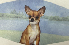 Chihuahua Dog Lover's Face Mask Double Stitch Triple Filter High Quality