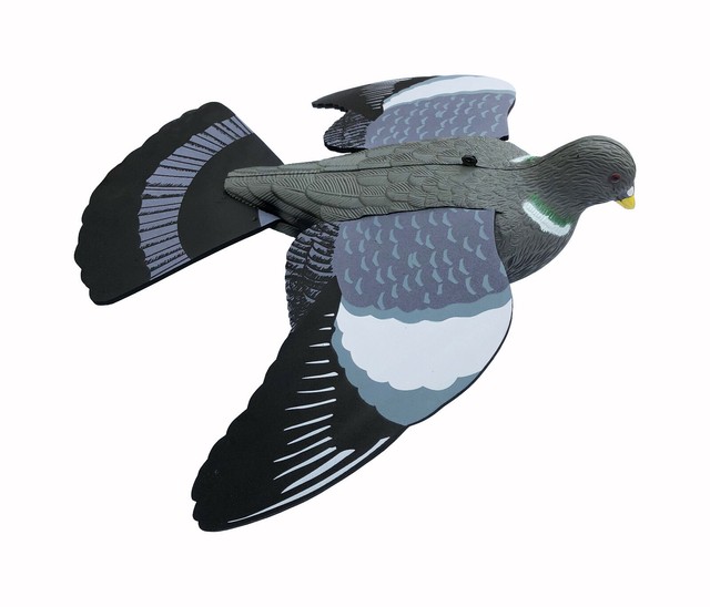 Flying Pigeon Decoy With Foam Wings Full Body Realistic High Detail Decoys for sale online eBay
