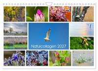 "Calendar 2027 · US Version · Naturcollagen 2027 (Wall Calendar 2027 12\" × 8\" Lan"