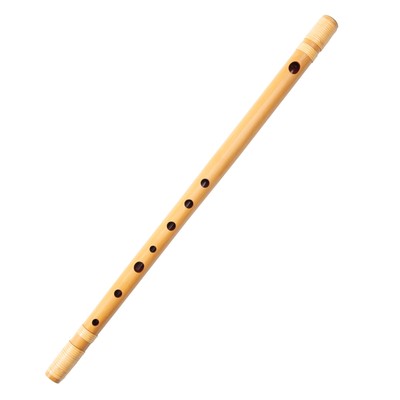 Shinobue Tenshu Do-Re-Mi Style Japanese Instrument For Singing Traditiona_