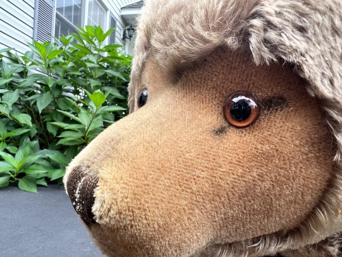 値下げbearlythere, inc made in U.S.A ANNIE AT469839: Oscillation Bearing with Housing | Shop.Deere.com