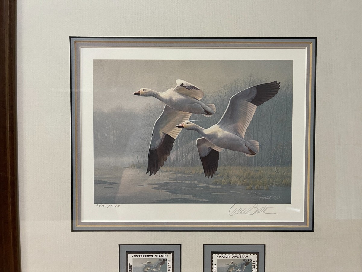 WTDstamps - 1989 NEW JERSEY - State Duck Stamp Print **DANIEL