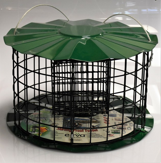 Erva Squirrel Proof Double Oversize Suet Cake Feeder Green for sale online eBay