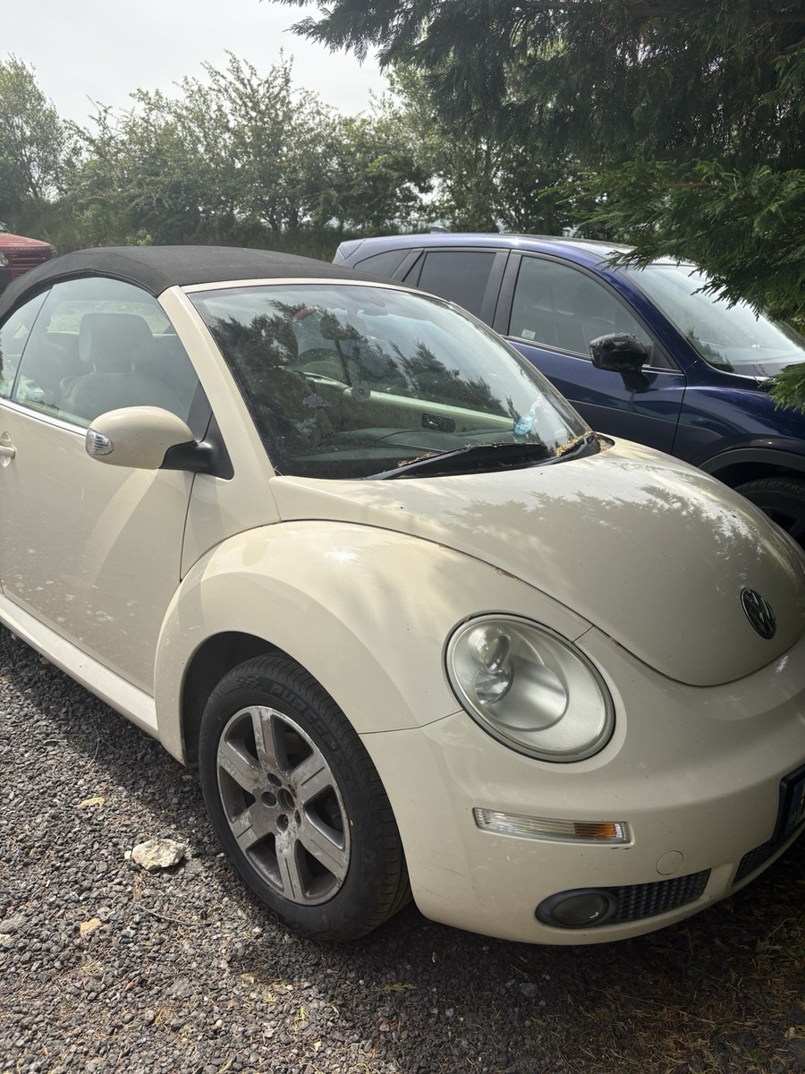 Volkswagen Beetle Luna 8v