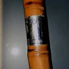 CHICAGO 1934 WORLD'S FAIR BAMBOO CANE A CENTURY OF PROGRESS SOUVENIR Vintage 36" — photo 4