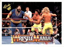 THE ROCKERS 1990 Classic WWF The History of Wrestlemania #108 SHAWN MICHAELS