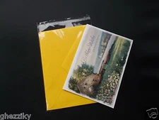 1000 A2+ 4 5/8 x 5 3/4 Clear Resealable Cello Bag Envelope Cellophane Sleeve