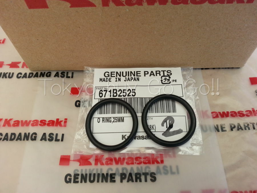 04♡ 2004-2005 Kawasaki Ninja ZX10R Stator Alternator Rick's