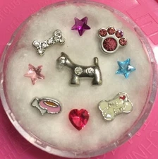 Floating Charm Set~*~Love My Dog Princess Puppy Paws Bone~*~Living  Locket