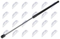 Nty Gasfeder, Koffer-/Laderaum AE-CT-066 FüR CitroËN