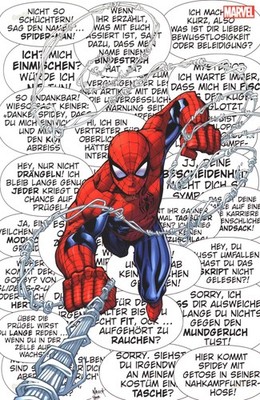 Spider-Man Nr. 1 - Panini (2023) Variant B Cover v. Todd Nauck Zustand 1