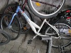 Bild 8 von 13