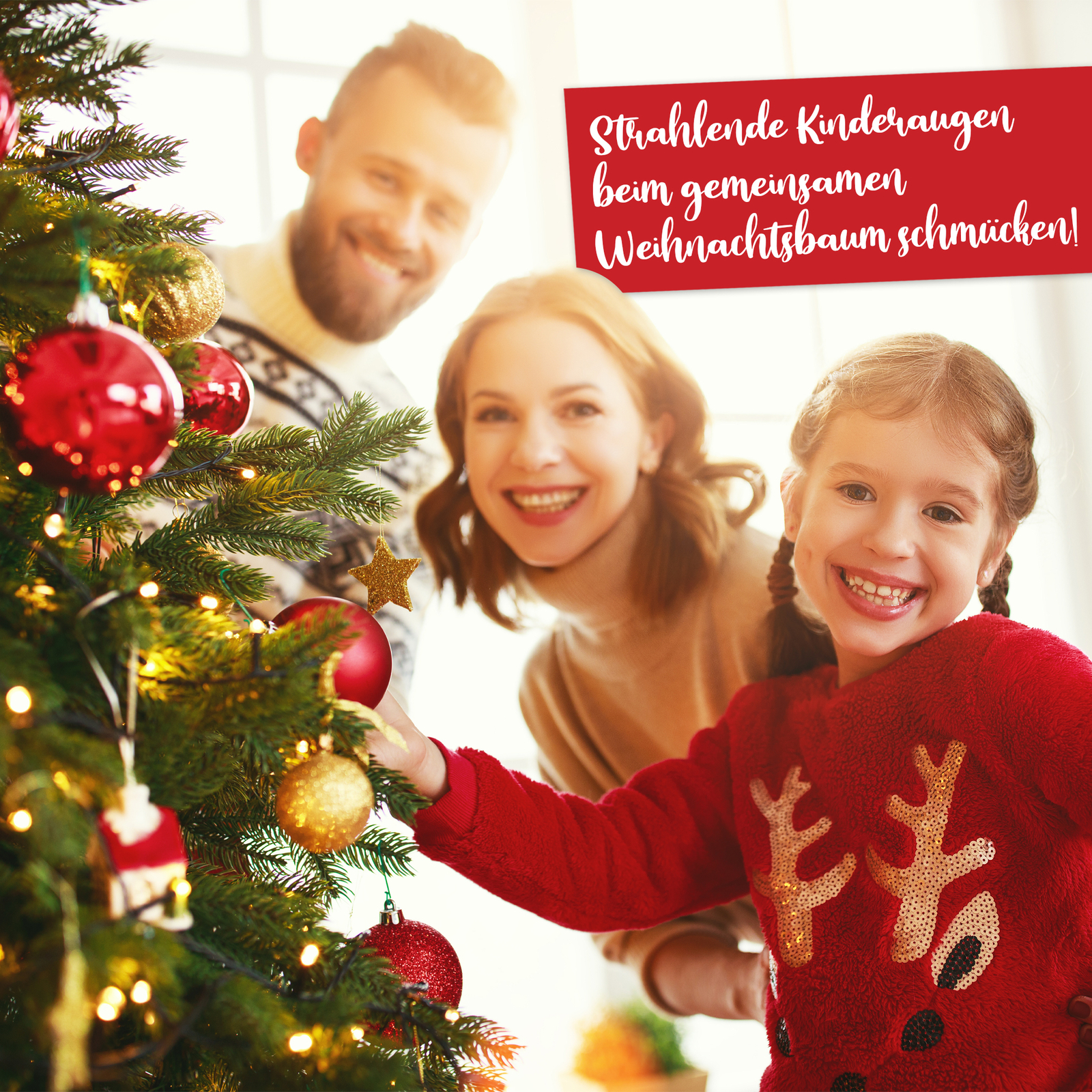 Bild 11 von 14