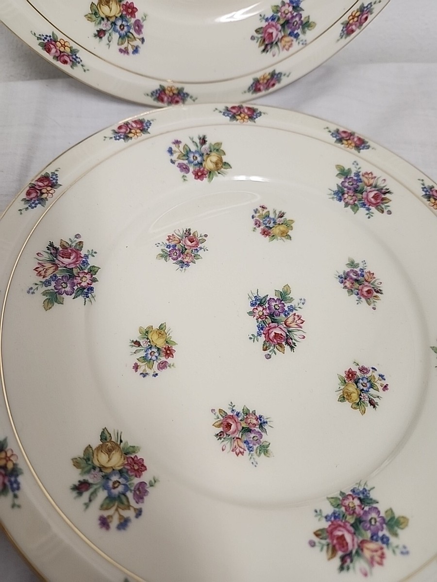 Haas Czjzek H&C Coronado Parisian Chintz SALAD Plates Set of 2