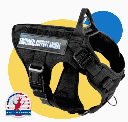 Esa Service Animal Vest Near Me Emotional Support Animal Tactical