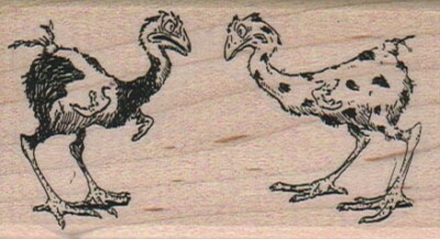 Two Scraggly Chickens 1 3/4 x 3'' Rubber Stamp, Bird Stamp, Bird Lover Stamp