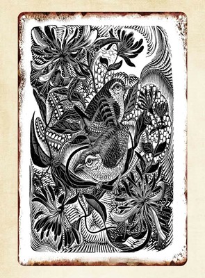 Wrens In Honeysuckle by GW Lennox Paterson 1900-1950 metal tin sign art sale