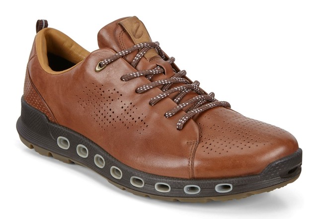 ecco holton plain toe gtx boot