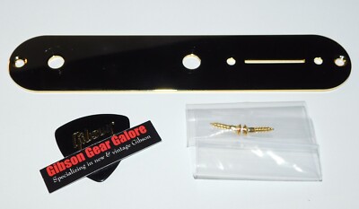 Fender Richie Kotzen Telecaster Control Plate Gold Guitar Parts Tele Project