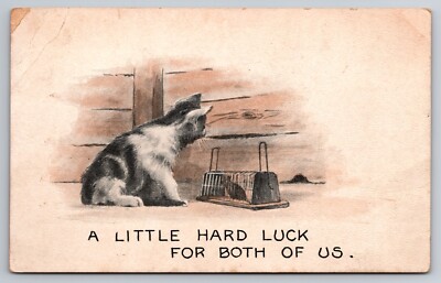 A Little Hard Luck for Both of Us Cute Cat Kitten Trapped Mouse c1920 Postcard