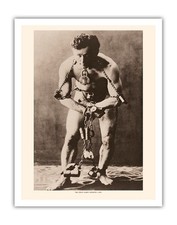 The Great Harry Houdini - Vintage Magic Poster 1903