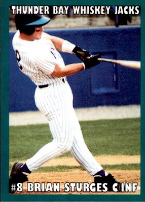 1996 Thunder Bay Whiskey Jacks Team Issue #20 Brian Sturges Lynwood California