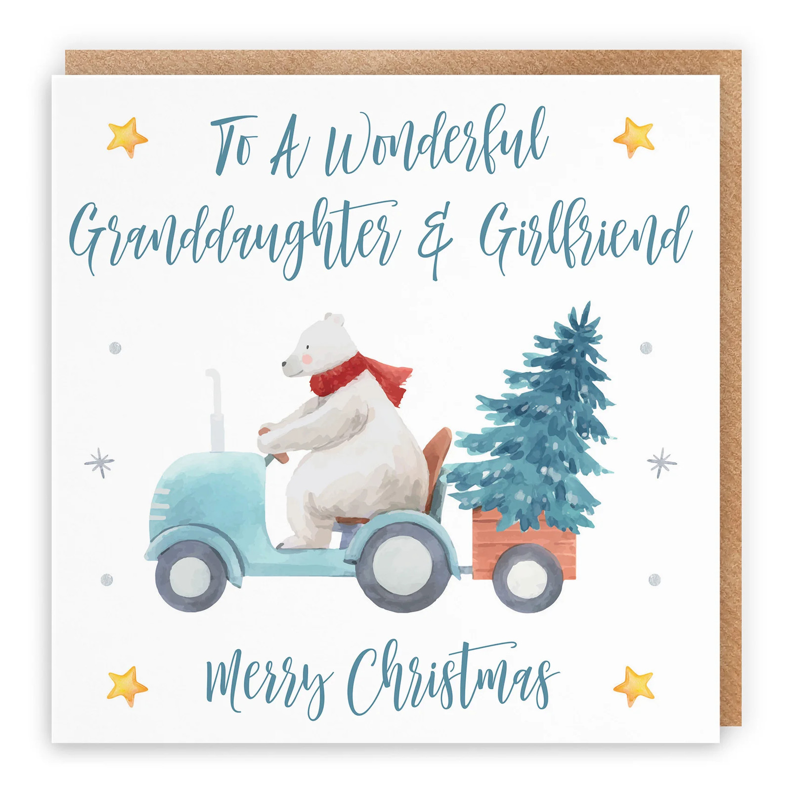 Granddaughter And Girlfriend Christmas Card Polar Bear