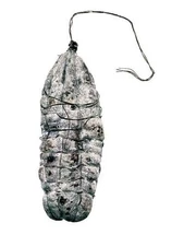 Hans Gissinger SALAMI #5 Signed Limited Edition Print 2001 #107735