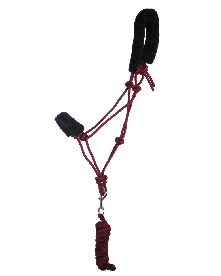 L-Sport weich gepolstertes Knotenhalfter Set mit Führstrick - Bild 2 von 4