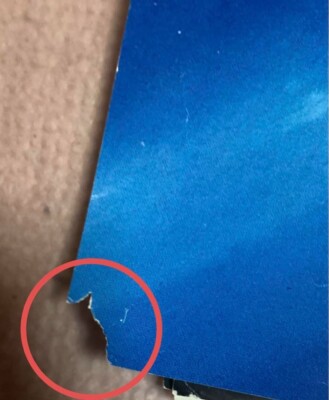 Saint Seiya Cygnus Hyoga Poster, B2 size Character Goods