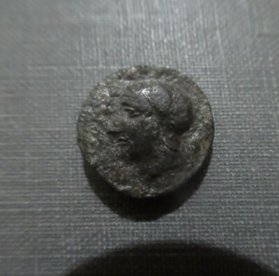 SICILY, Kamarina. 420-405 BC AE 14 Athena Head / Facing Owl, Lizard