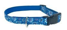 NWT Executive Pup Adjustable Dog Collar, Small (Fits Neck: 9”-14”), Blue Bandana