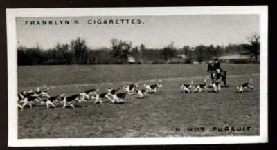 Tabakkarte, Franklyn Davey, Jagd, 1925, In Hot Pursuit, #15
