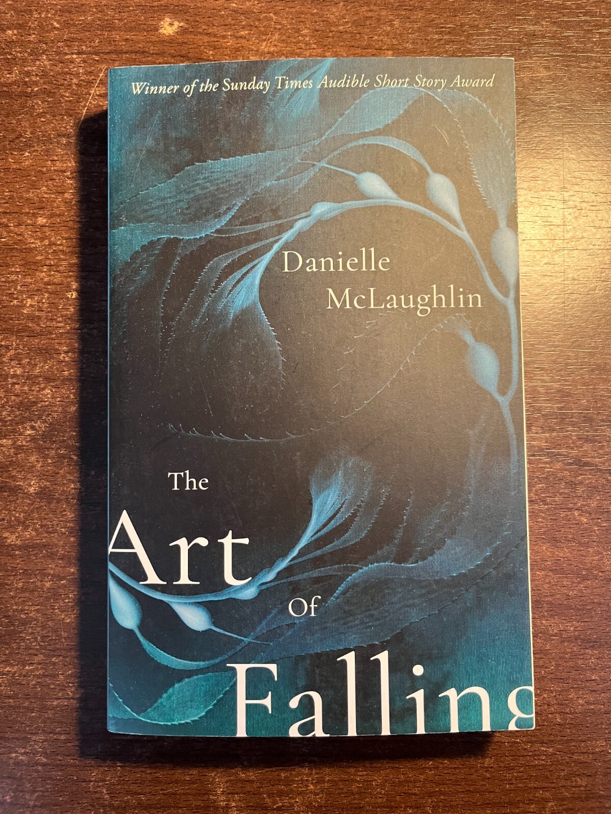 *PROOF* THE ART OF FALLING by DANIELLE MCLAUGHLIN - JOHN MURRAY - P/B - 2021