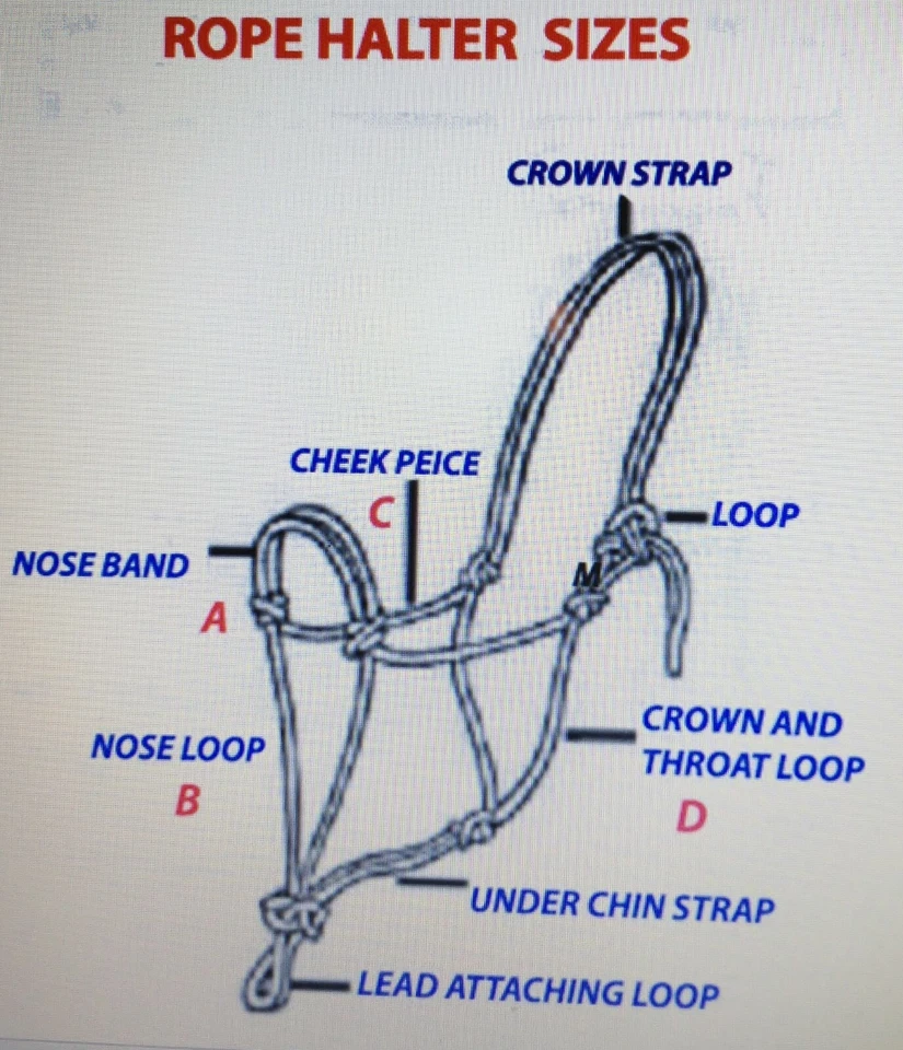 SOPORTES DE CUERDA DE CABALLO, CONSTRUCCIÓN REFORZADA SUAVE Y FUERTE con JUEGO DE CABLES Foto 4 de 4