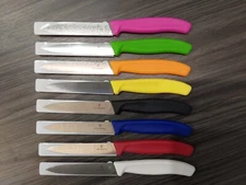 VICTORINOX Swiss Made 4 Inch Blade Kitchen Paring Knife - Straight With Point