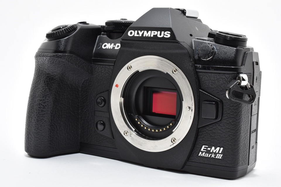 BATTERIE DE TYPE BLH-1 Pour Olympus OM-D E-M1 DURACELL EUR 20,00