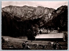 Mountain Landscape with Barn Benediktenwand Germany Black & White RPPC